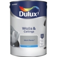DULUX RETAIL MATT WARM PEWTER 5L