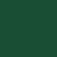 POLYVINE ACRYLIC ENAMEL BRUNSWICK GREEN  (6)  20ML