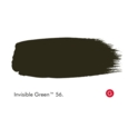 LITTLE GREEN ABSOLUTE MATT 60 ML. INVISIBLE GREEN T