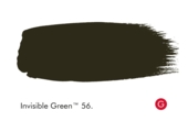 LITTLE GREEN ABSOLUTE MATT 60 ML. INVISIBLE GREEN T