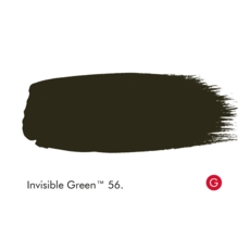 LITTLE GREEN ABSOLUTE MATT 60 ML. INVISIBLE GREEN T