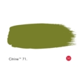 LITTLE GREEN ABSOLUTE MATT 60 ML. CITRINE T