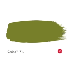 LITTLE GREEN ABSOLUTE MATT 60 ML. CITRINE T