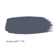 LITTLE GREENE ABSOLUTE MATT EMULSION JUNIPER ASH 60ML
