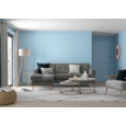 DULUX RETAIL  MATT FIRST DAWN 2.5LITRE