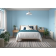 DULUX RETAIL  MATT FIRST DAWN 2.5LITRE