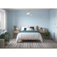DULUX EASYCARE W&T TESTER MINERAL MIST 30ML