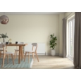DULUX RETAIL Light & Space Lunar Falls 2.5L