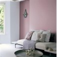 DULUX COLOUR TESTER DUSTED FONDANT 30ML