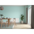 DULUX LIGHT & SPACE MATT LAGOON FALLS 2.5L