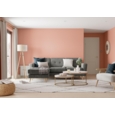 DULUX COLOUR TESTER COPPER BLUSH 30ML