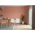 DULUX COLOUR TESTER COPPER BLUSH 30ML