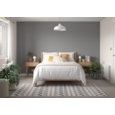 DULUX REFRESH ONE COAT FEATURE WALL URBAN OBSESSION 30ML