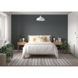 DULUX REFRESH ONE COAT FEATURE WALL CANNON BALL 30ML