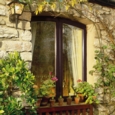 SADOLIN 10 YEAR QUICK DRY WOODSTAIN JACOBEANWALNUT 1L