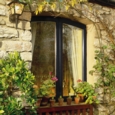 SADOLIN 10 YEAR QUICK DRY WOODSTAIN EBONY 2.5L