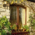 SADOLIN 10 YEAR QUICK DRY WOODSTAIN NATURAL 2.5L