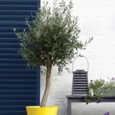 SANDTEX 10 YEAR MULTI SURFACE GLOSS OXFORD BLUE 750ML