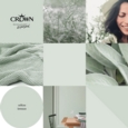 CROWN MATT EMULSION WILLOW BREEZE 2.5L