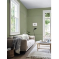CROWN MATT EMULSION EVERGREEN ECHO 2.5L