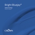 CROWN MATT BRIGHT BLUEJAY TESTER 40ML