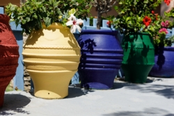 Multi Surface Paints