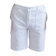 Painters Shorts