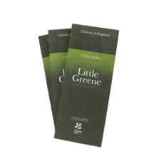 LITTLE GREEN COLOUR CARD SINGLE