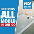 HG MOULD SPRAY  500mls